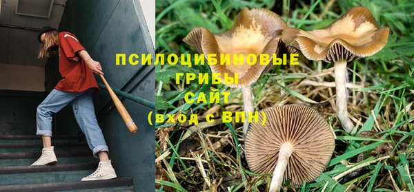 прущие крисы Красноперекопск