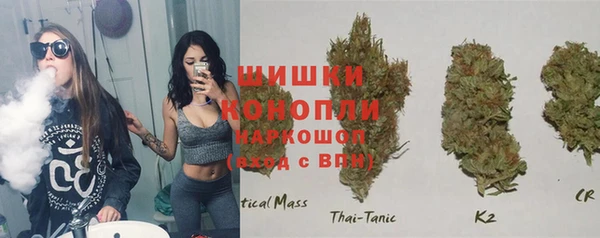 прущий лед Краснослободск