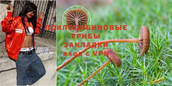 прущий лед Краснослободск