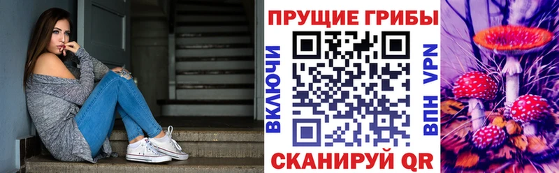 Псилоцибиновые грибы Cubensis  Купить где  Лесной 